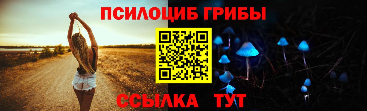 Артём  Псилоцибиновые грибы мухоморы  Галлюциногенные грибы мухоморы  Вход с VPN 